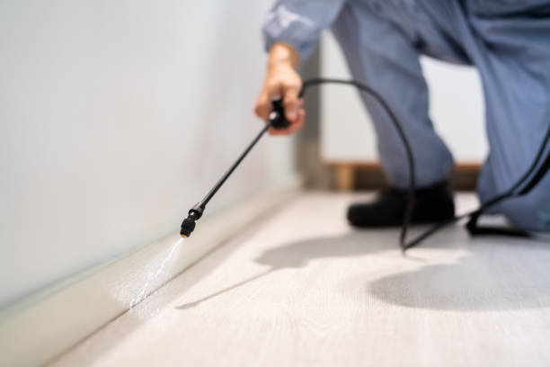Licensed Pest Control service in Gulf Hills, MS - Show Me Pest Control